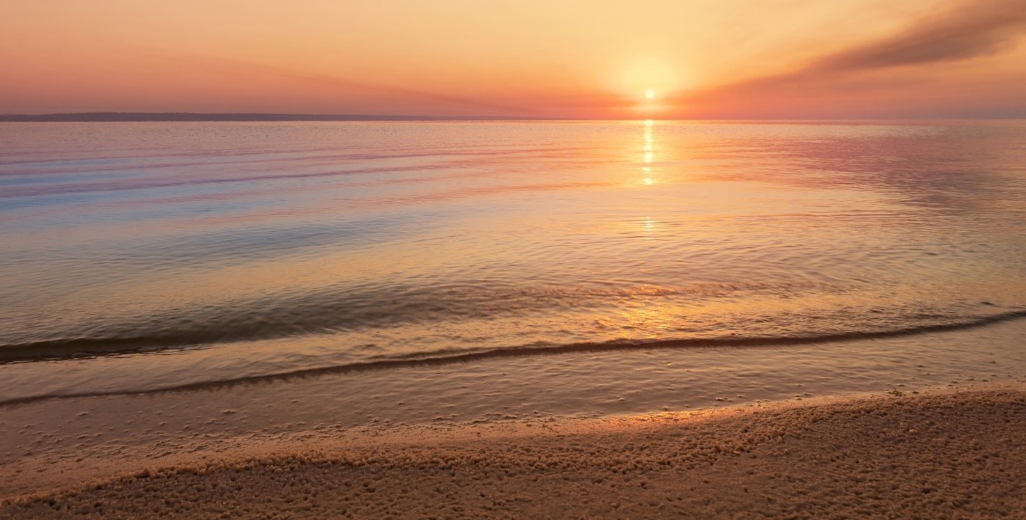 Brug dine forsikringer