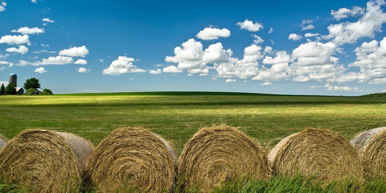 The Danish Healthcare System